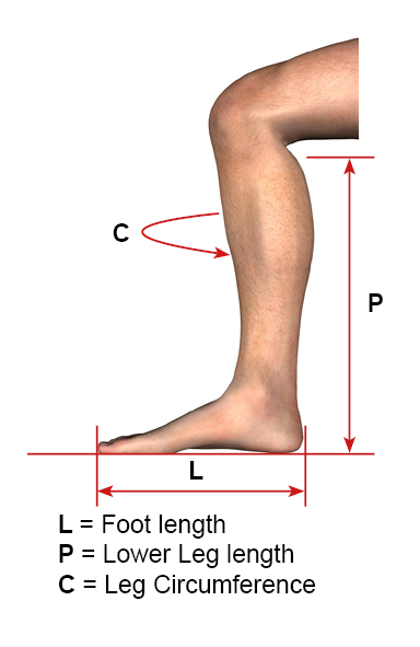 Diagram showing leg measurement points